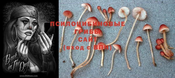 эйфоретик Магадан