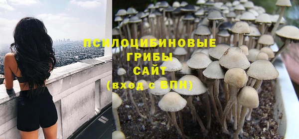 эйфоретик Магадан