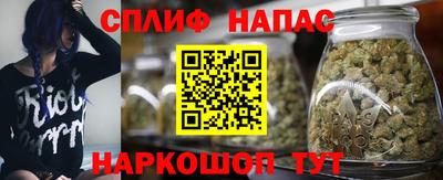 дурь Гай