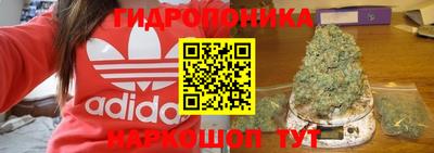 метадон Аргун