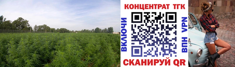 MEGA tor Урай Дистиллят ТГК THC oil