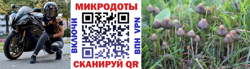 Псилоцибиновые грибы Psilocybe  закладка  Урай 