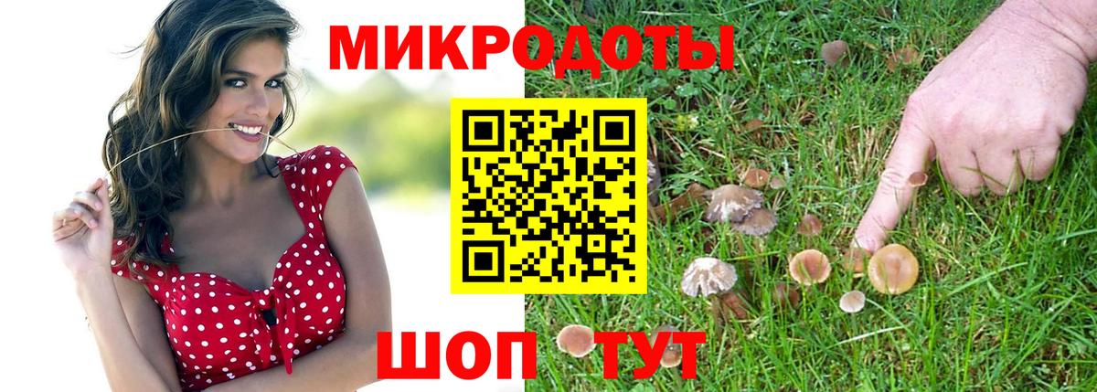 Псилоцибиновые грибы Cubensis  закладка  Урай  Вход с VPN  Галлюциногенные грибы MAGIC MUSHROOMS 