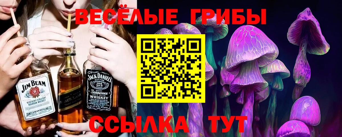 Псилоцибиновые грибы мицелий Урай