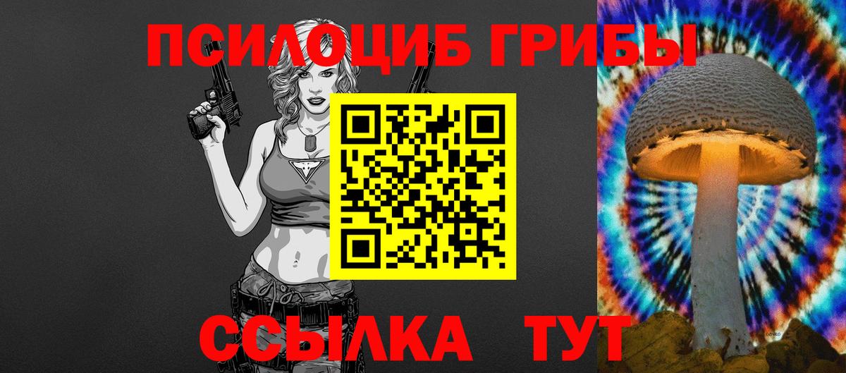 Галлюциногенные грибы Psilocybe  Урай  Псилоцибиновые грибы Magic Shrooms 