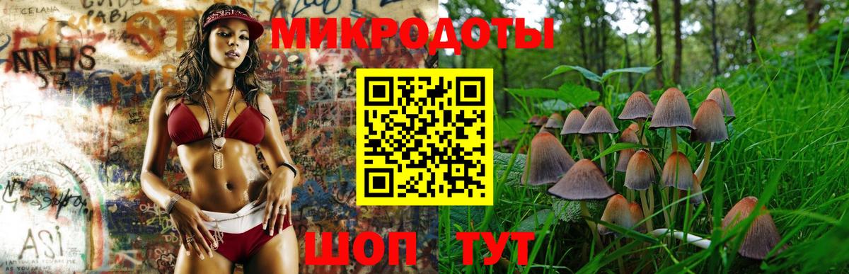 Галлюциногенные грибы ЛСД Урай